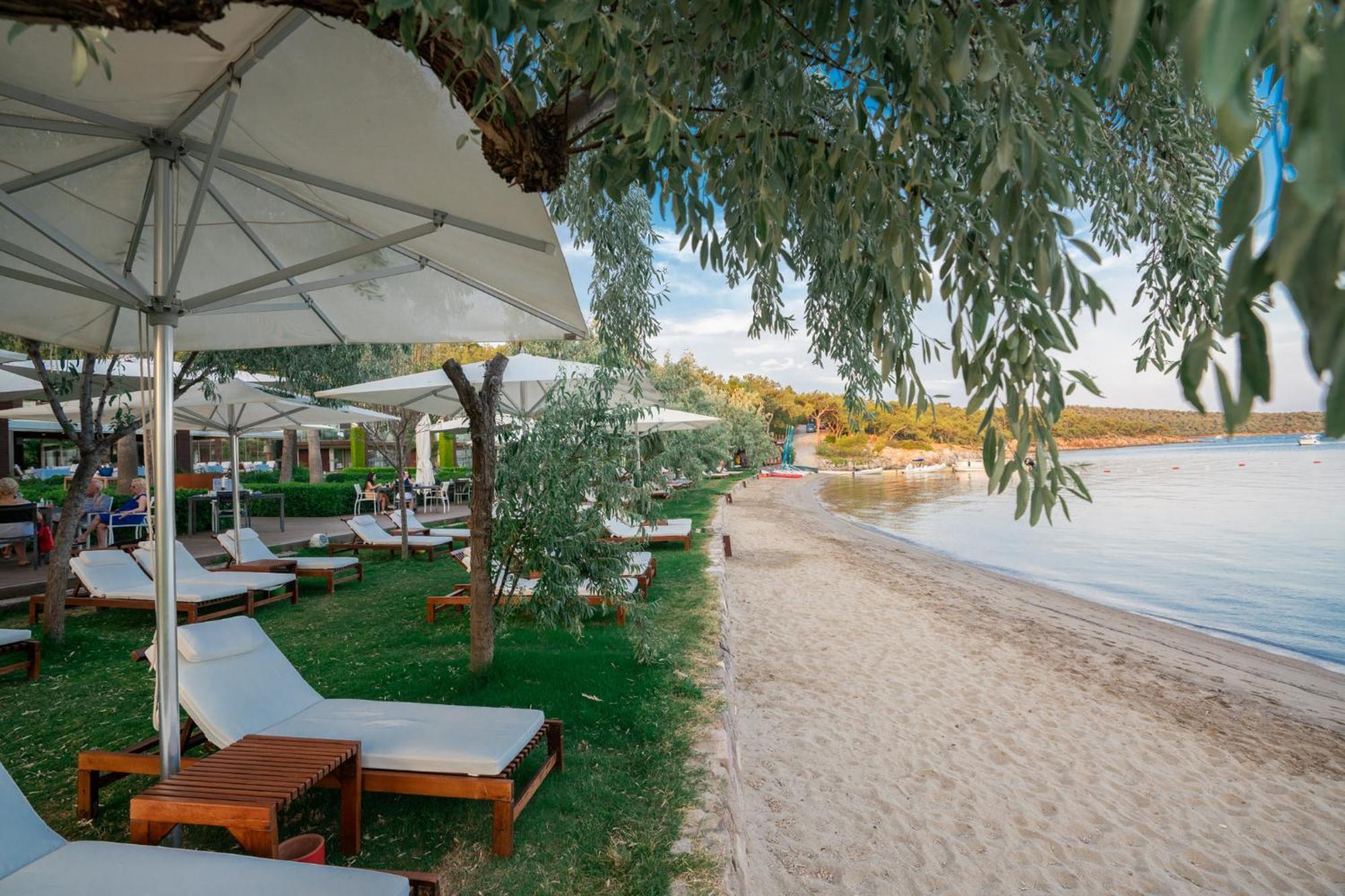 Ortunc Hotel - Cunda Island (Adults Only) Ayvalı Extérieur photo