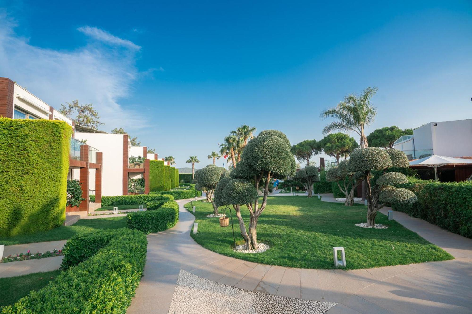 Ortunc Hotel - Cunda Island (Adults Only) Ayvalı Extérieur photo