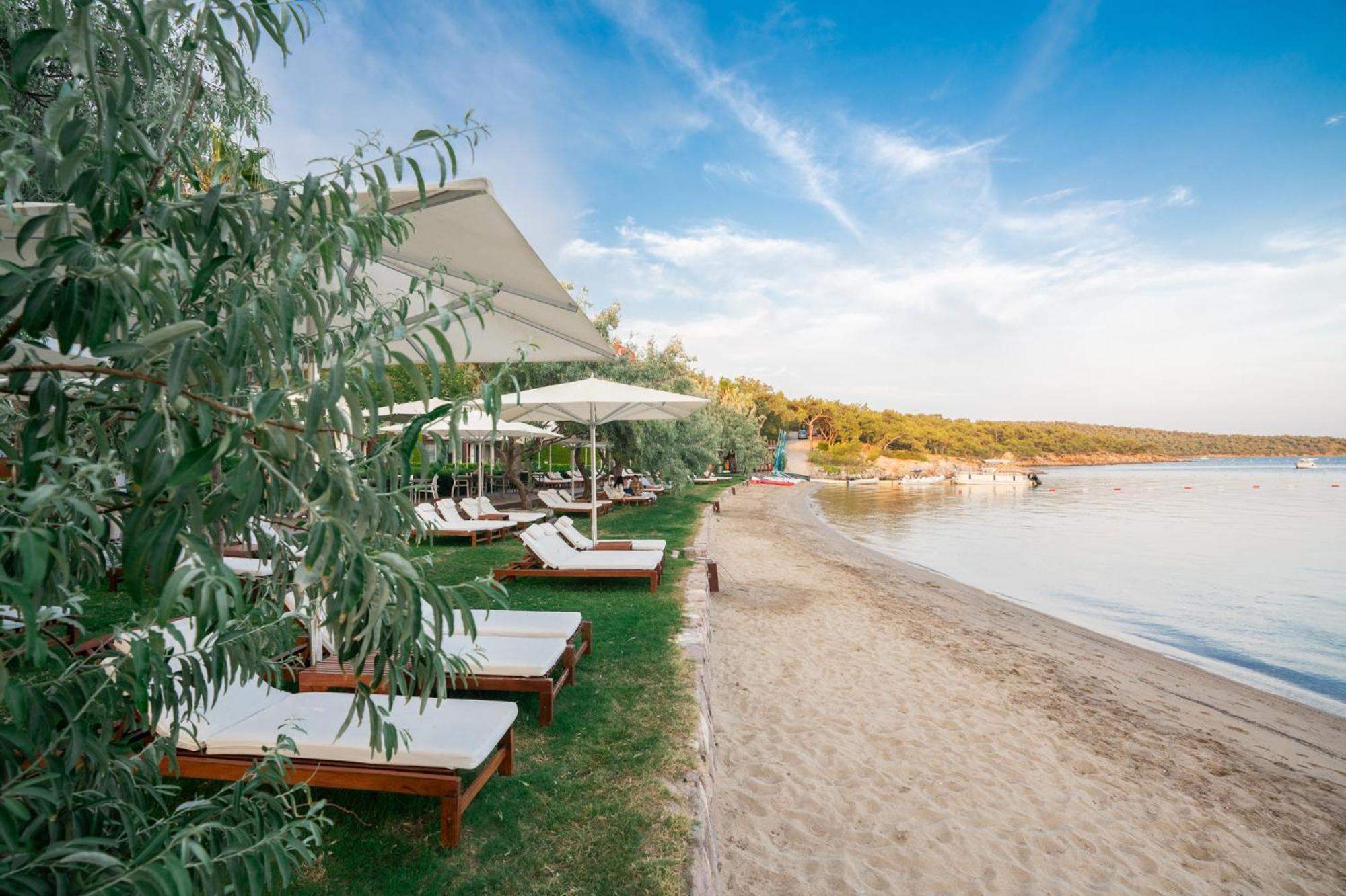 Ortunc Hotel - Cunda Island (Adults Only) Ayvalı Extérieur photo