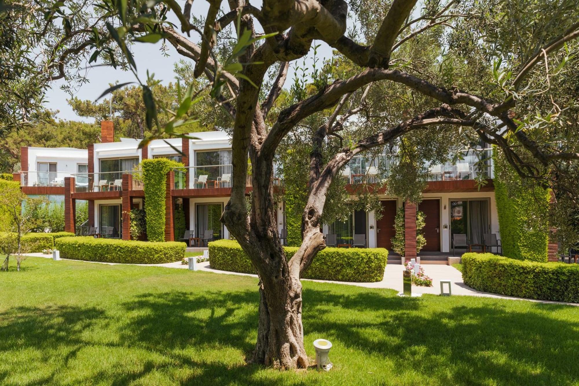 Ortunc Hotel - Cunda Island (Adults Only) Ayvalı Extérieur photo