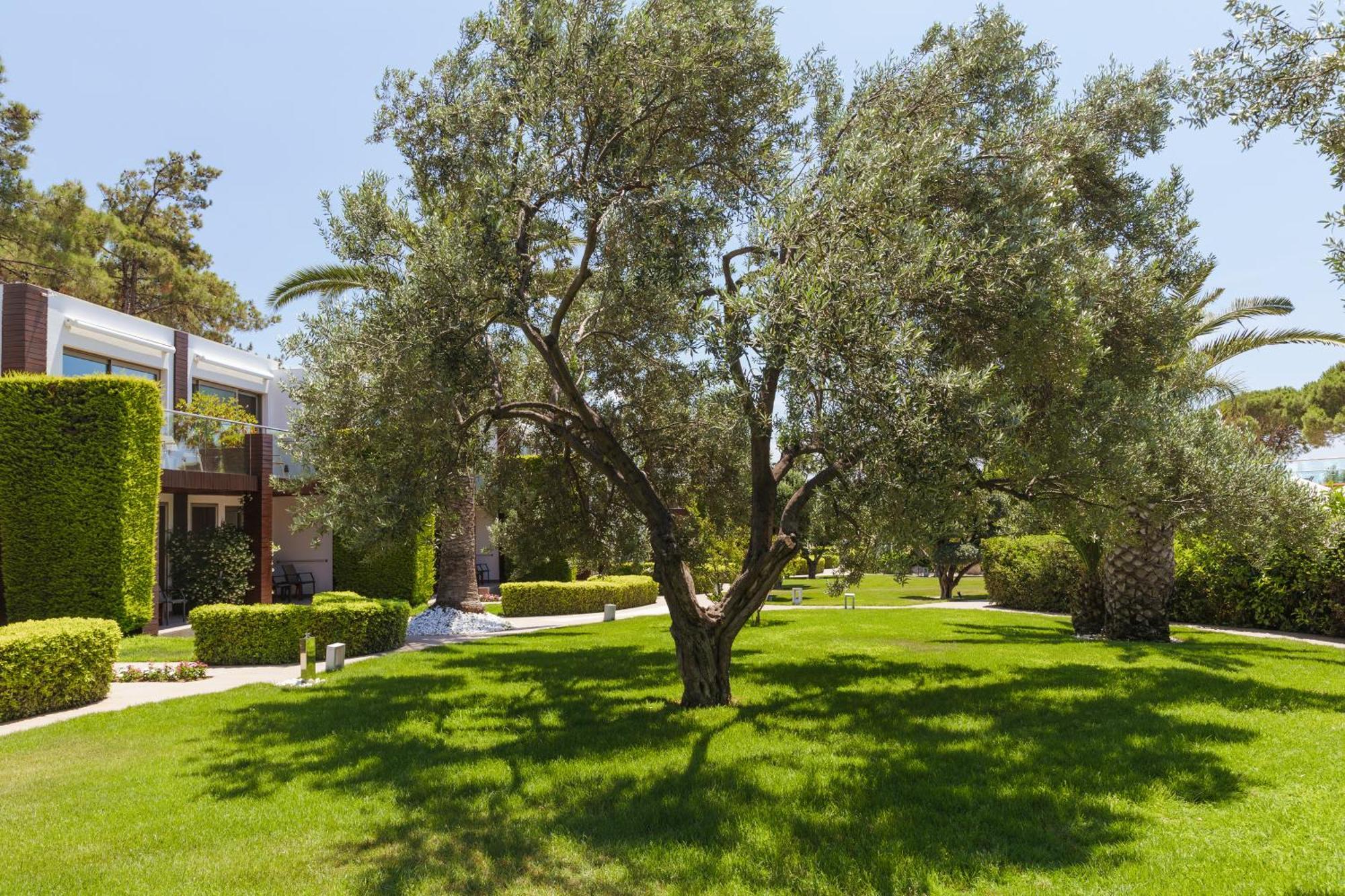 Ortunc Hotel - Cunda Island (Adults Only) Ayvalı Extérieur photo