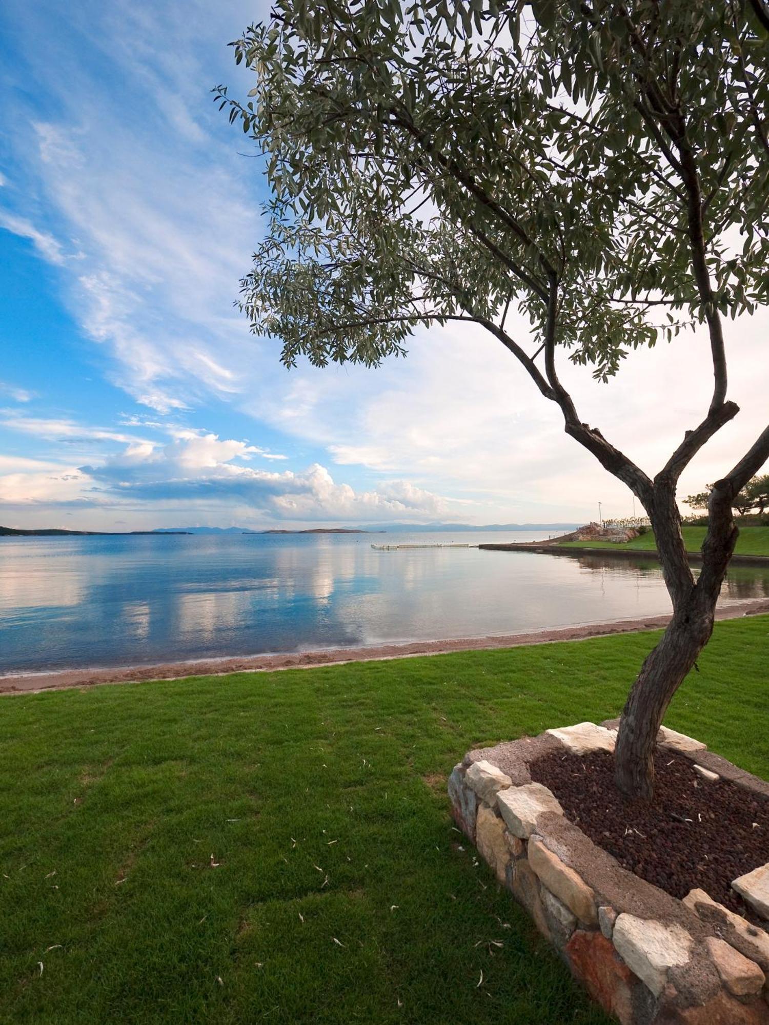 Ortunc Hotel - Cunda Island (Adults Only) Ayvalı Extérieur photo